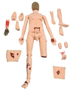 Simulador de Trauma Básico Adulto Bissexual c/ Órgãos Internos