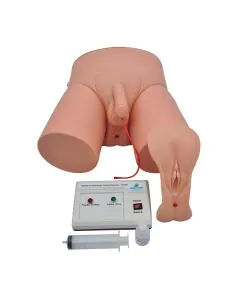 Simulador de Cateterização Vesical Bissexual Adulto com Dispositivo Eletrônico
