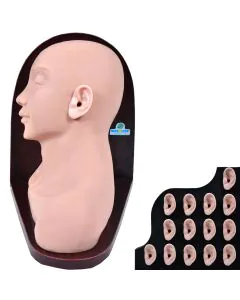 Simulador Avançado para Exame Otológico